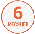 6 месяцев